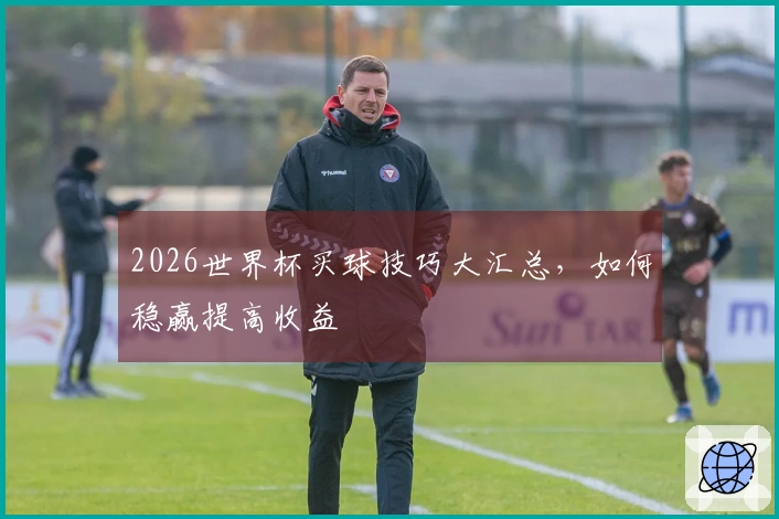 2026世界杯买球技巧大汇总，如何稳赢提高收益