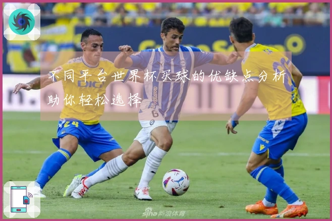 不同平台世界杯买球的优缺点分析助你轻松选择