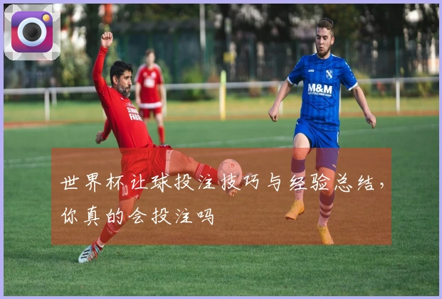 世界杯让球投注技巧与经验总结，你真的会投注吗