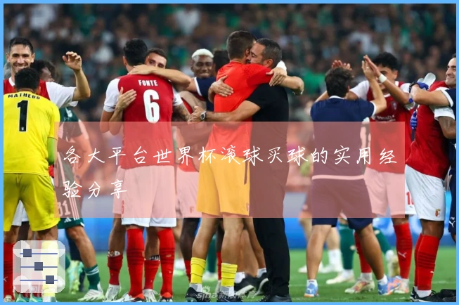 各大平台世界杯滚球买球的实用经验分享