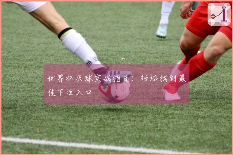世界杯买球实战指南：轻松找到最佳下注入口