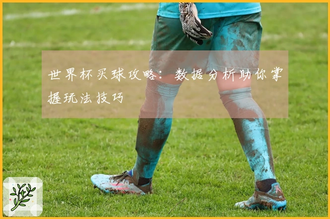 世界杯买球攻略：数据分析助你掌握玩法技巧