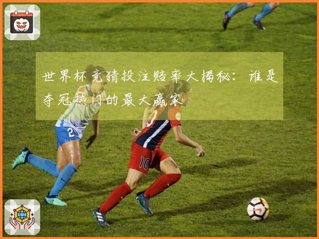世界杯竞猜投注赔率大揭秘：谁是夺冠热门的最大赢家