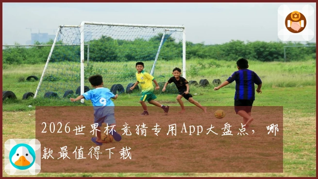 2026世界杯竞猜专用App大盘点，哪款最值得下载