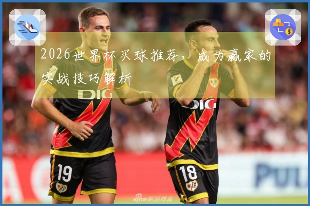 2026世界杯买球推荐，成为赢家的实战技巧解析