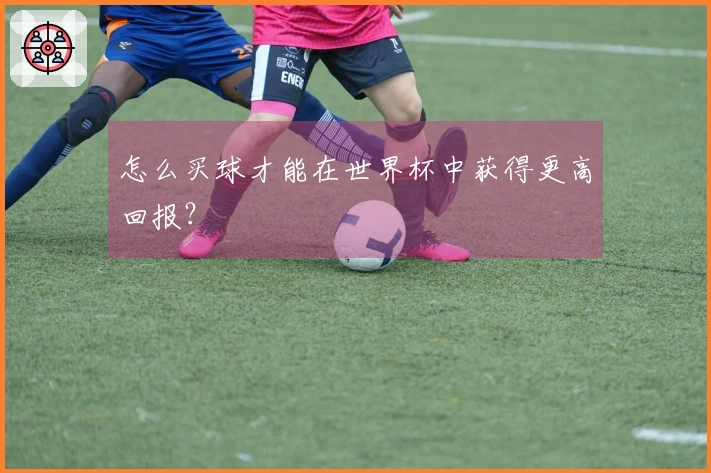 怎么买球才能在世界杯中获得更高回报？