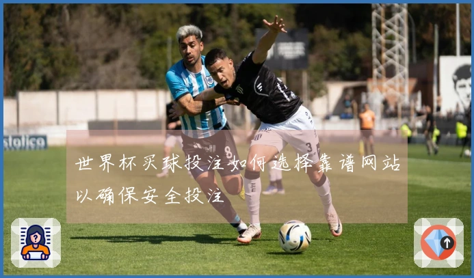 世界杯买球投注如何选择靠谱网站以确保安全投注