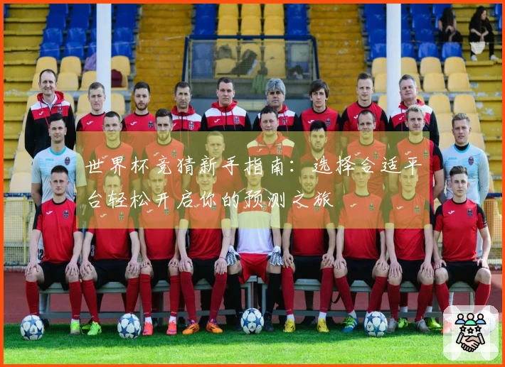 世界杯竞猜新手指南：选择合适平台轻松开启你的预测之旅