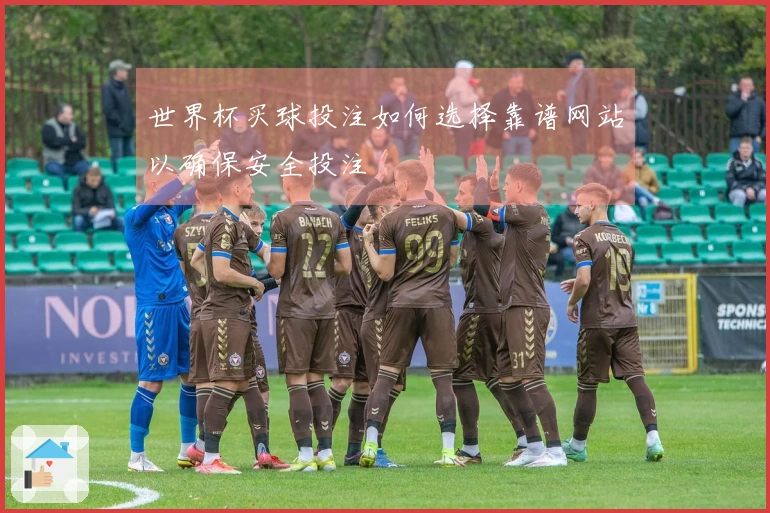 世界杯买球投注如何选择靠谱网站以确保安全投注