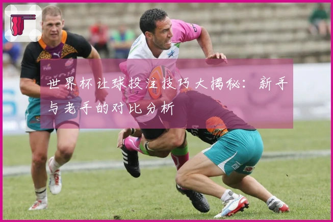 世界杯让球投注技巧大揭秘：新手与老手的对比分析