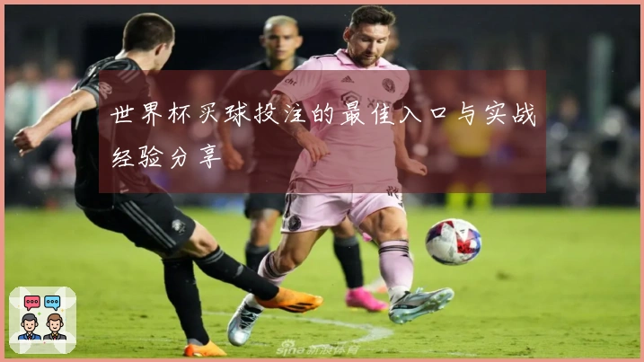 世界杯买球投注的最佳入口与实战经验分享