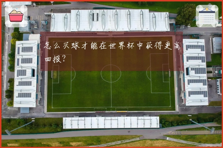 怎么买球才能在世界杯中获得更高回报？