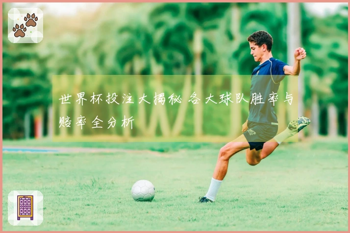 世界杯投注大揭秘 各大球队胜率与赔率全分析