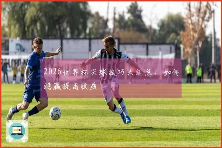 2026世界杯买球技巧大汇总，如何稳赢提高收益