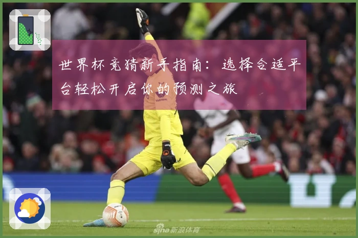 世界杯竞猜新手指南：选择合适平台轻松开启你的预测之旅
